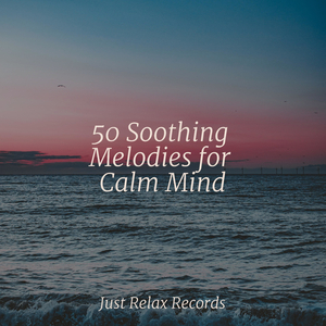 Solitary Dunescape Symphony