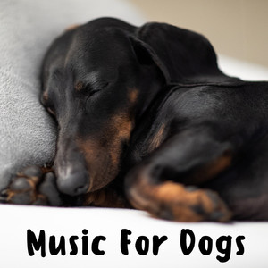 Music for Dogs Peace