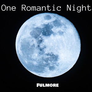 One Romantic Night