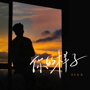 你的样子 (沧桑版)