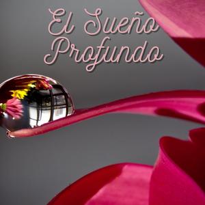 El Sueño Profundo