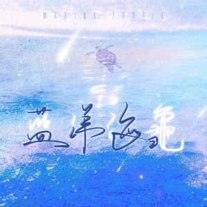 蓝洋海龟