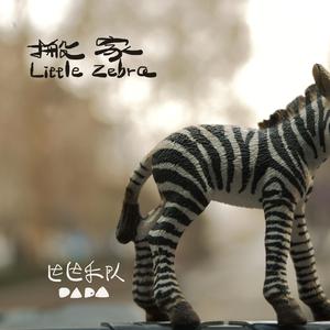 搬家 Little Zebra