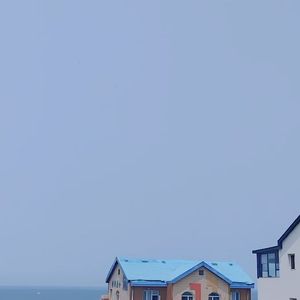 温柔的眼神