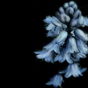 微睡（陈朵. 一人之下）