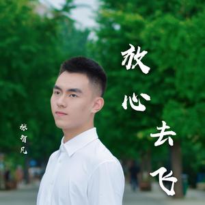 放心去飞