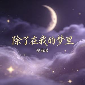 除了在我的梦里
