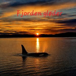 Fjorden gløder