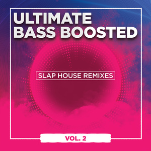 Ice on My Baby (Cover Remix)