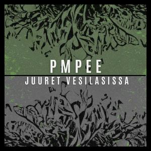 Puu mun ikkunas (feat. Letkeäleijona)