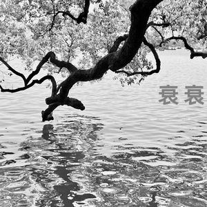 飞鸟（prod.Unsail）