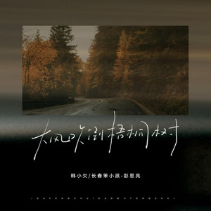 大风吹倒梧桐树 (社会语录版)