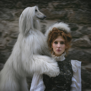 НОЧНЫЕ СКАЗКИ