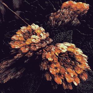 Like a Bone For a Dog