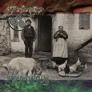 The Foggy Dew (Instrumental Version)