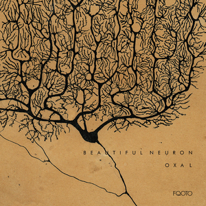 Human Cerebellum (10Drums Beat Retreat Mix)