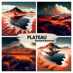 Plateau (Slowed and Reverbed)