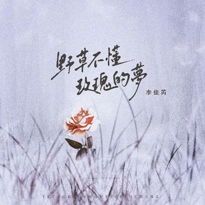 野花做不了玫瑰