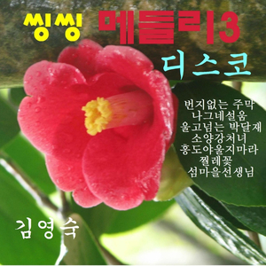 모녀기타(디스코)