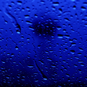 董小姐（翻自 宋冬野）