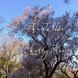 The 3rd Tree