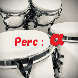 Hand Percussion Jam Congas Guaguancohu