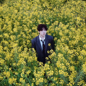 就这么离开我的世界