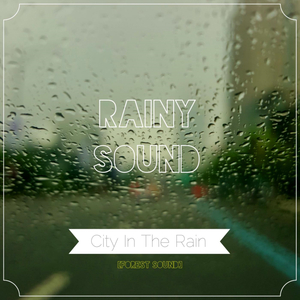 도시의 빗소리 City In The Rain (힐링 사운드)