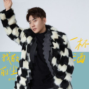 我敬前尘一杯酒