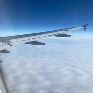 Pretty Face (Rough Cut)