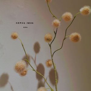 你是那束光 (钢琴曲)