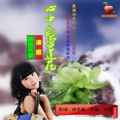 心中的雪莲花