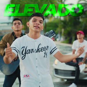 Elevado