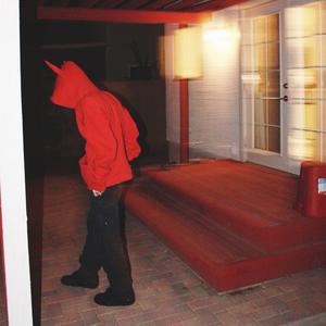 Final Flash (feat. Armoniixd)