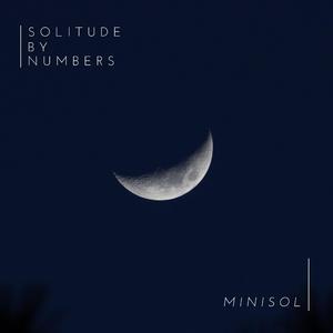 Solitude By Numbers