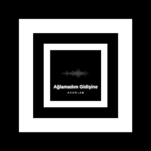 Ağlamadım Gidişine