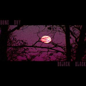 Bone Dry