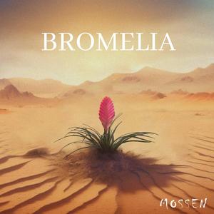 Bromelia