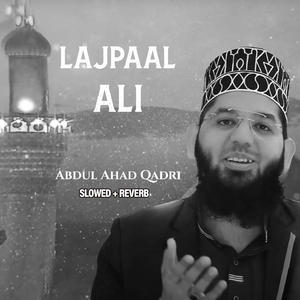 Lajpaal Ali (Lofi-Mix)