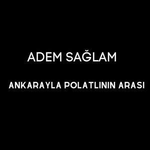 Ankarayla Polatlının Arası