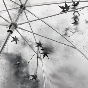 Good Night（伴奏）