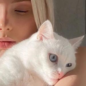 一个人想着一个人 (网络版)