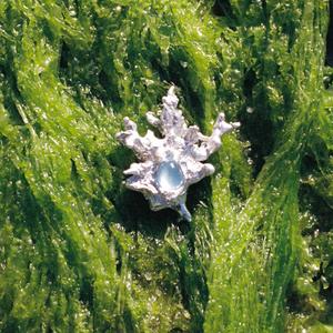 Grotto (feat. Drum & Lace)