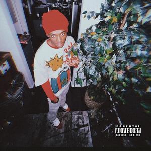 BeForeal (feat. Luhpjay)