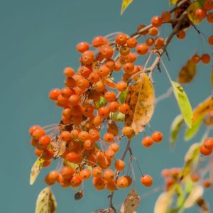 你为美景感动 我为无常心痛