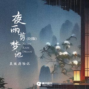夜雨剪梦池 (DJ版)