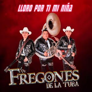 LLORO DESDE EL DIA QUE TE FUISTE