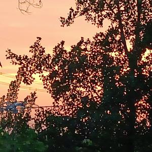 纯音乐 - 中国人民解放军-起床号