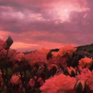 Love Funk（Prod By Bubbleboy）