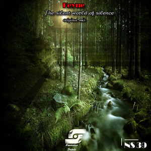 The Silent World of Silence (Original Mix)